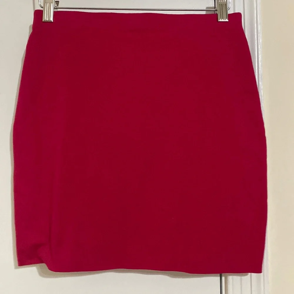 Express Skirts - Picture 1 of 4
